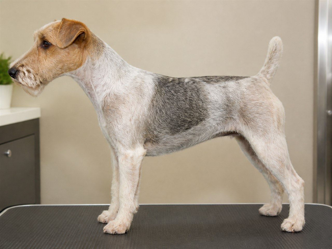 A practical short clipper finish